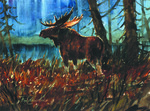 Untitled - Wildlife, Moose by Rod Crossman