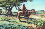 Cowboy & Horse (description) by James Boren