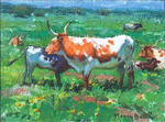 Longhorn Mama by Nancy Boren