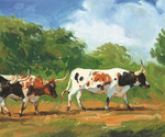 Longhorns by Nancy Boren