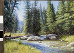 Bear Creek by Annette Hodges