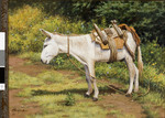 White Burro by Annette Hodges