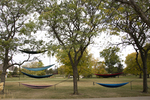 Best Spot on Campus: Hammocking by Chloe Holtz, Abby Jones, and Grace Hotmire