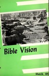 The Bible Vision